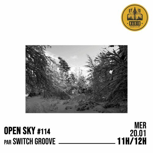 #114 Switch Groove présente : Musiques pour une journée d'hiver  - 20/01/2021