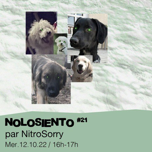 #21 Nitro Sorry  - 12/10/2022