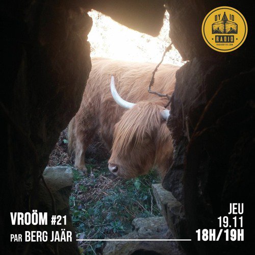 #21 Berg Jaär  - 19/11/2020